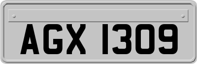 AGX1309