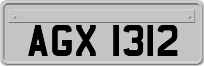 AGX1312