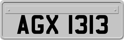 AGX1313
