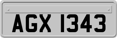 AGX1343