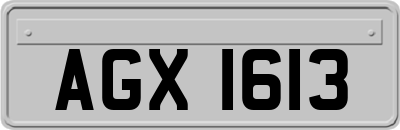 AGX1613