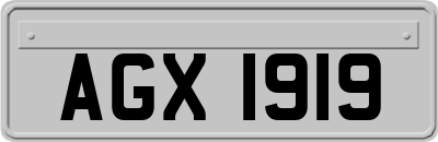 AGX1919