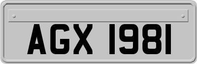 AGX1981