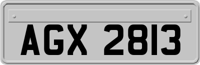AGX2813