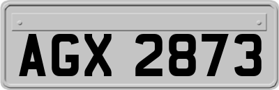 AGX2873