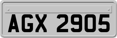 AGX2905
