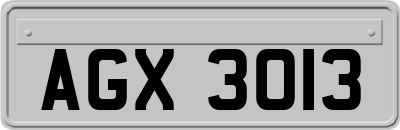 AGX3013