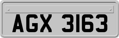 AGX3163