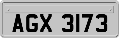 AGX3173