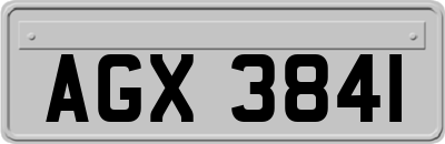 AGX3841