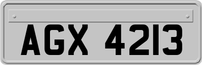 AGX4213