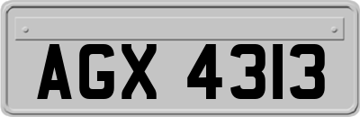 AGX4313