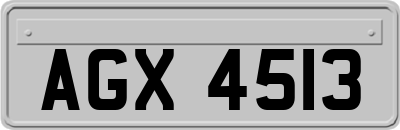 AGX4513