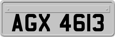 AGX4613