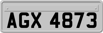 AGX4873