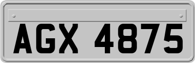AGX4875