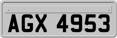 AGX4953