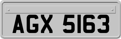 AGX5163