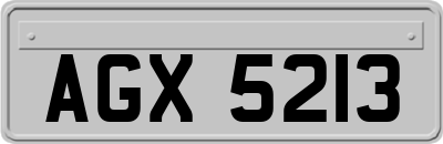 AGX5213