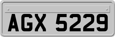 AGX5229