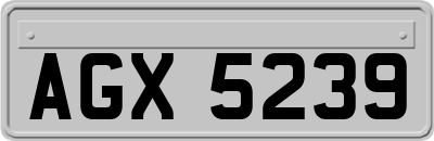 AGX5239