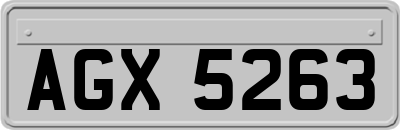 AGX5263