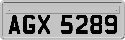 AGX5289