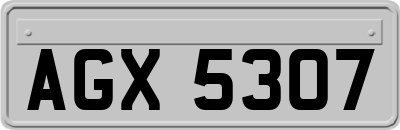 AGX5307