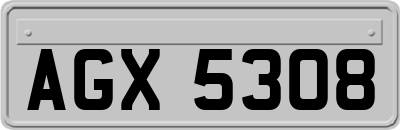 AGX5308
