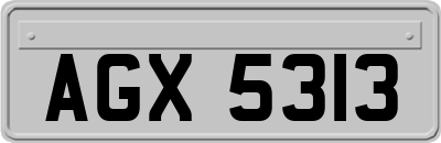 AGX5313