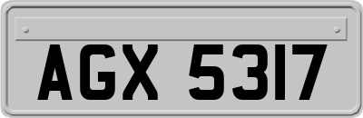AGX5317