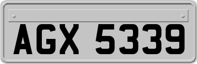 AGX5339