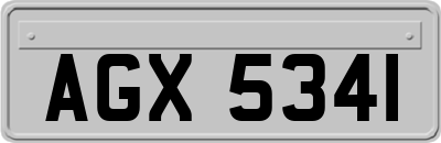 AGX5341