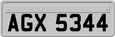 AGX5344