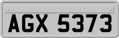 AGX5373