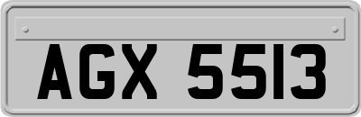 AGX5513