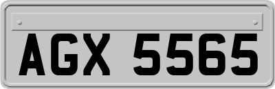 AGX5565