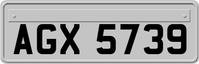 AGX5739