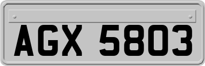 AGX5803