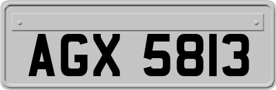 AGX5813