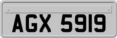 AGX5919