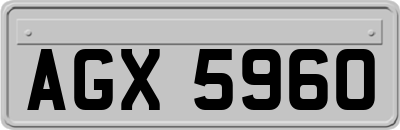 AGX5960