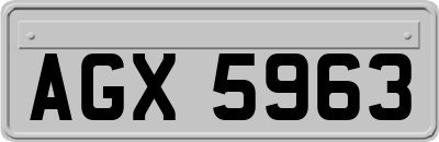 AGX5963