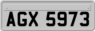 AGX5973