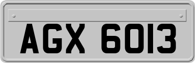 AGX6013