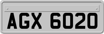 AGX6020