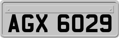 AGX6029