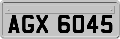 AGX6045
