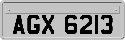 AGX6213