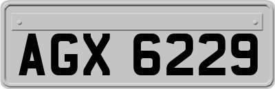 AGX6229